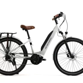 Vélo électrique Granville E-Absolute 24+ chameleon silver mat, alliant style et performance. Parfait pour les déplacements urbains, ce vélo offre une assistance électrique puissante, une batterie longue durée et un design moderne. Profitez d'une conduite confortable et écologique avec Granville