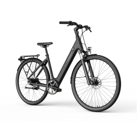 Vélo électrique TENWAYS CGO800S grey: Élégance et performance avec moteur de moyeu arrière Mivice M070 250W, batterie lithium-ion 36V, 10.4Ah et freins à disque hydrauliques Tektro.